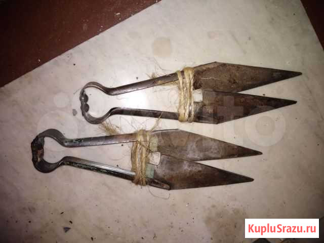 Ножницы Красновишерск - изображение 1