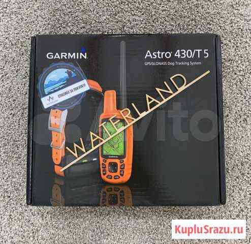 Garmin Astro 430 ошейник T5 (Американская Версия) Чебоксары