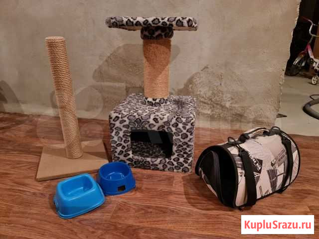 Кровать домик,переноска,когтечесалка,миски Королев - изображение 1