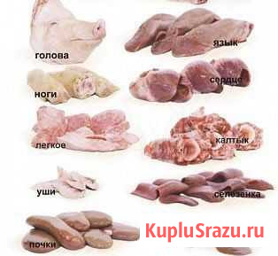 Субпродукты свиные домашние Тбилисская - изображение 1