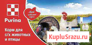 Корма Пурина Сызрань - изображение 1