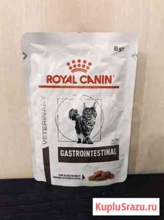 Royal canin gastrointestinal Киров