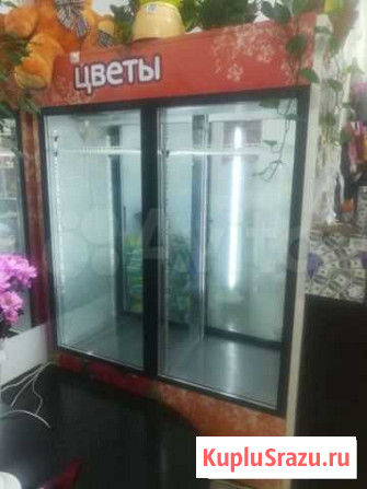 Холодильник для цветов Сыктывкар - изображение 1