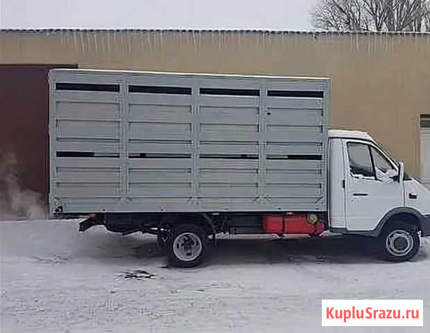 Перевозка крс мрс на Газеле 4.20 Элиста - изображение 1