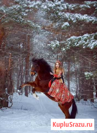 Фотосессия с лошадьми Воронеж - изображение 1