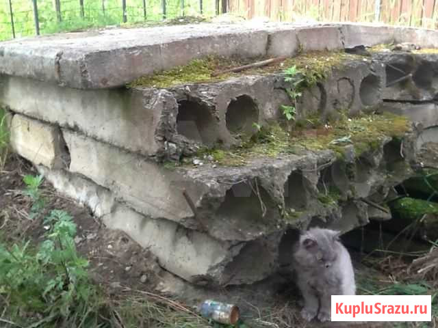 Продам бетонные панели Санкт-Петербург - изображение 1