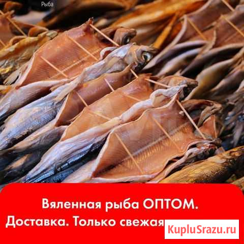 Вяленая рыба Балашиха - изображение 1