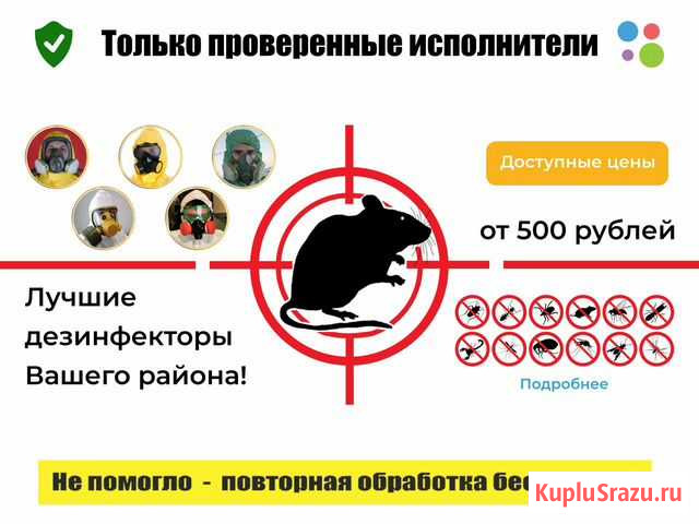 Уничтожение крыс. Уничтожение грызунов Мытищи - изображение 1