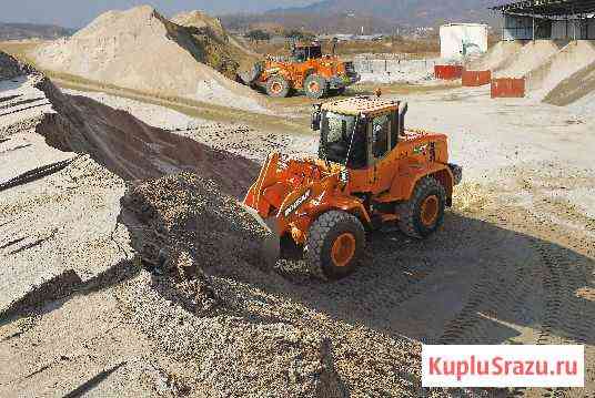 Фронтальный погрузчик Doosan DL250A Салехард