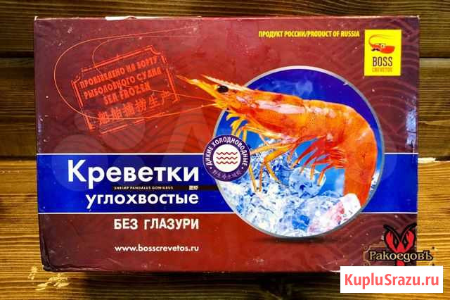Углохвостая креветка Анапа - изображение 1