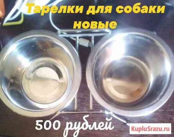 Тарелки на собаке Магнитогорск