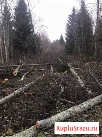 Требуются вальщики Кириши - изображение 1