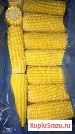 Кукуруза Липецк - изображение 1