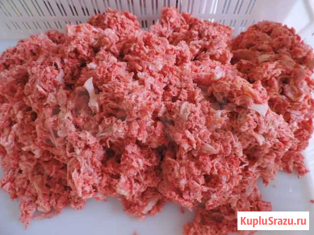 Мясо для животных Павлово - изображение 1