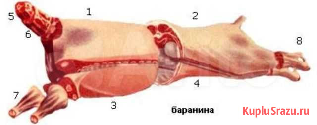 Баранина Коломна - изображение 1