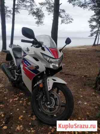 Honda CBR 250r Санкт-Петербург