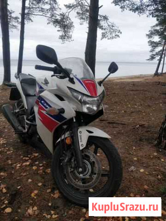 Honda CBR 250r Санкт-Петербург - изображение 1