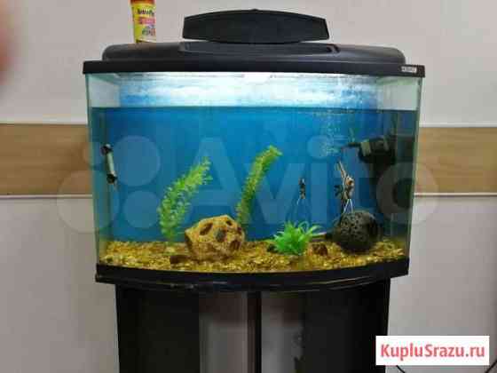 Продам аквариум 120 литров Кемерово