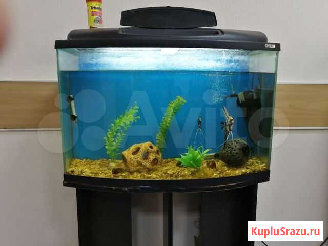 Продам аквариум 120 литров Кемерово - изображение 1