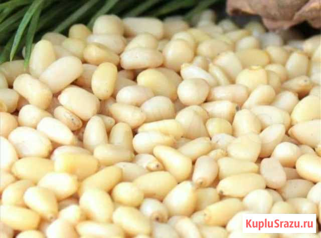 Орех кедровый,масло пихтовое,масло ореха, мускус Сочи - изображение 1