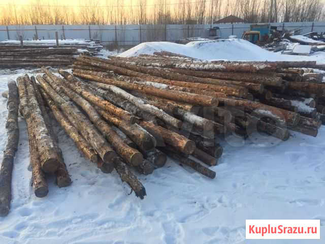 Пиломатериал, кругляк,дрова Приобье - изображение 1