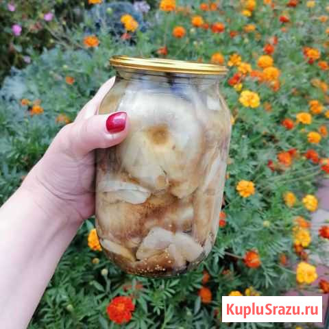 Грузди Нижневартовск - изображение 1