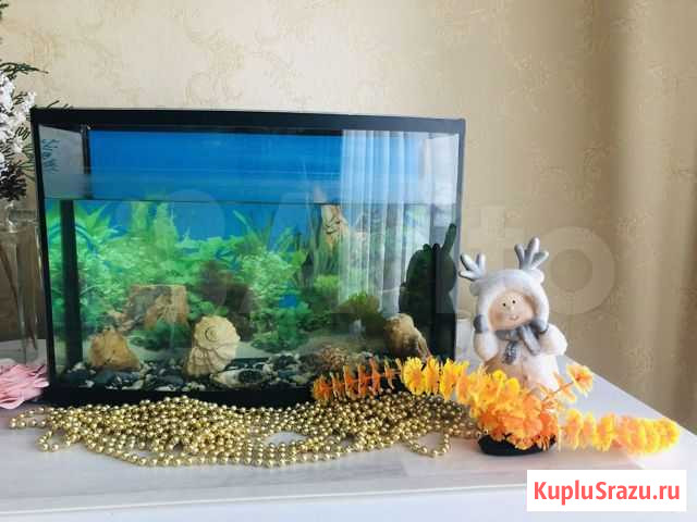 Аквариум Нижний Новгород - изображение 1