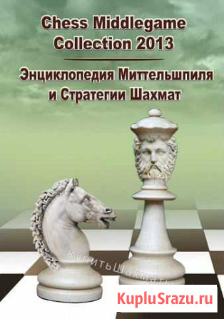 Программа по шахматам Санкт-Петербург - изображение 1