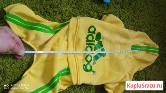 Одежда для собачки Шелехов - изображение 1