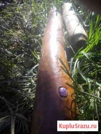 Авторский Коллекционный диджериду Джерико Москва