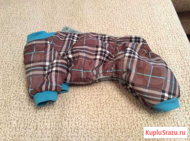 Комбинизоны для йорка Долгопрудный - изображение 1