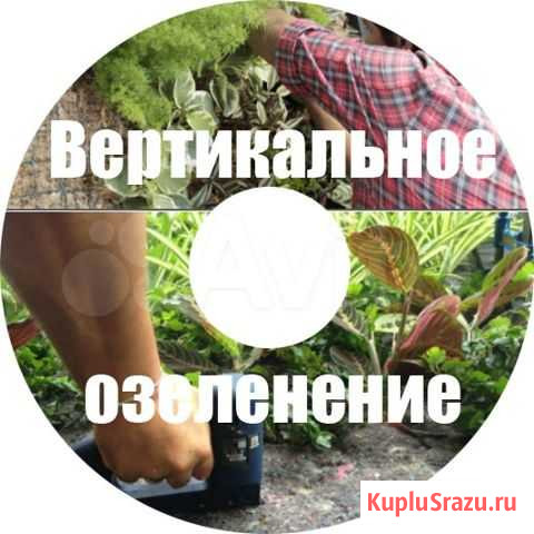 Курсы по технологии вертикального озеленения DVD Тюмень - изображение 1