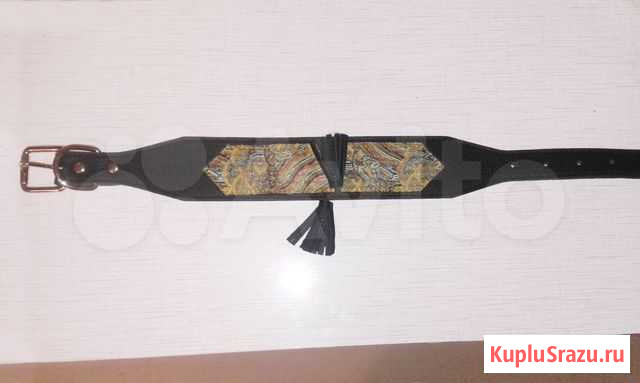 Ошейник для крупной собаки Балашиха - изображение 1