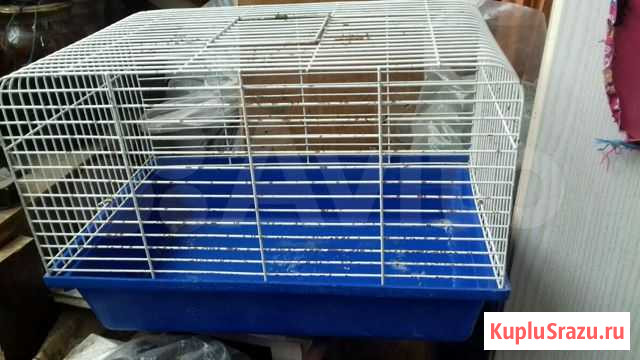 Клетки для птиц Смоленск - изображение 1