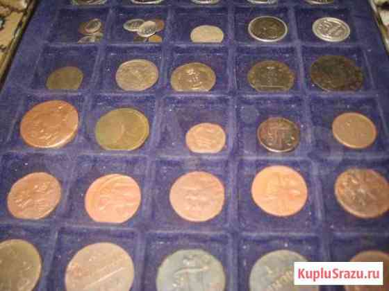 Медные монеты с 1739 по 1916 год Сургут
