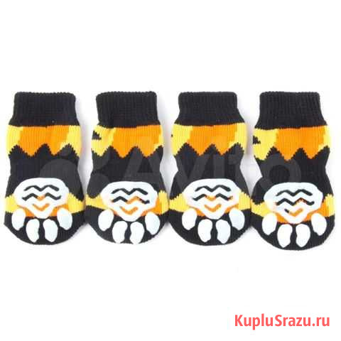 Одежда для собак Пущино - изображение 1