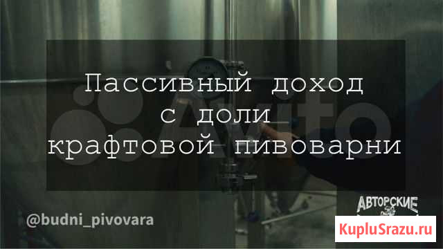Пассивный доход с Пивоварни Саратов - изображение 1