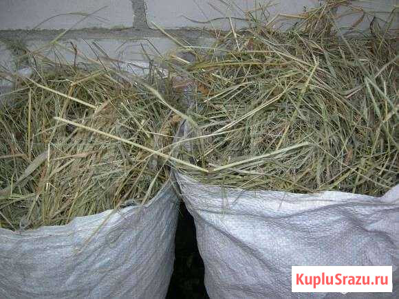 Сено в мешках Курск - изображение 1
