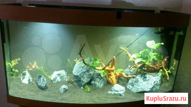 Украшение для аквариума Московский - изображение 1