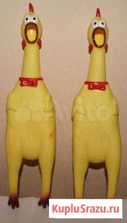 Курица орущая (резиновая) Химки - изображение 1