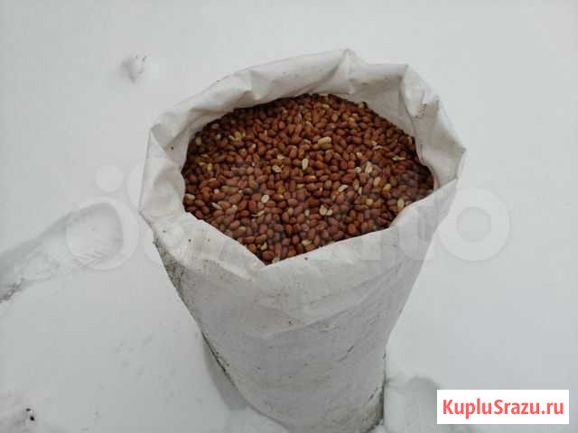 Арахис кормовой (для животных) Наро-Фоминск - изображение 1