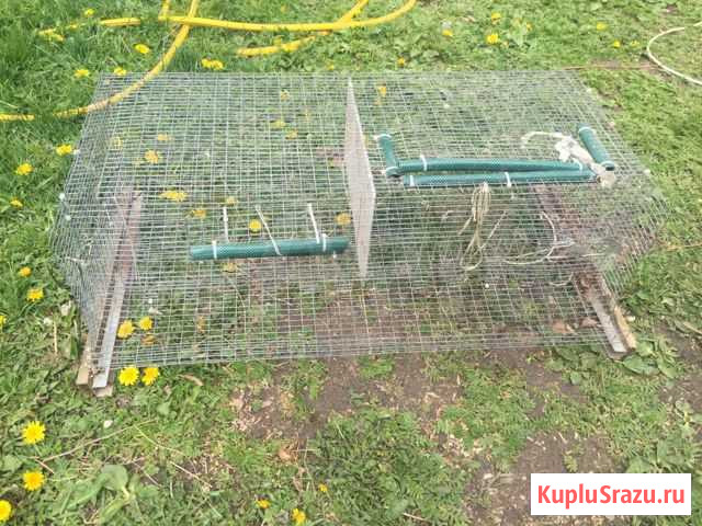 Клетки для перепелов и птенцов Серпухов - изображение 1