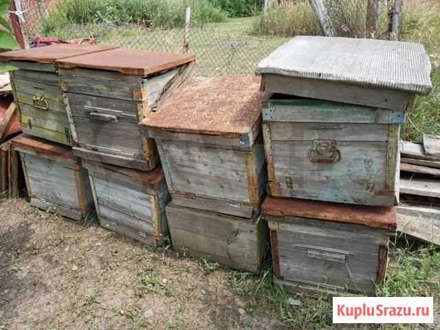 Продаю улики Егорлыкская - изображение 1