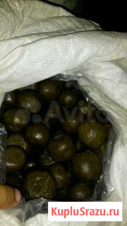 Продам прополис Бийск - изображение 1