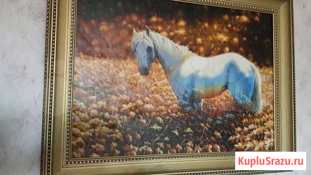 Картина. Масло.Холст Ставрополь - изображение 1