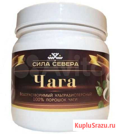 Чага 100 грамм Тюмень - изображение 1