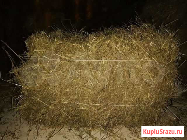 Солома Моргауши - изображение 1