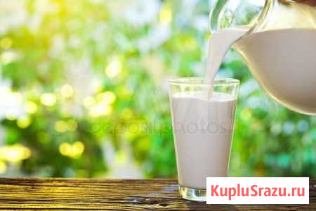 Домашняя продукция Зеленокумск - изображение 1