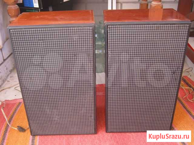 Аудио колонки 15 ас Новоалтайск - изображение 1