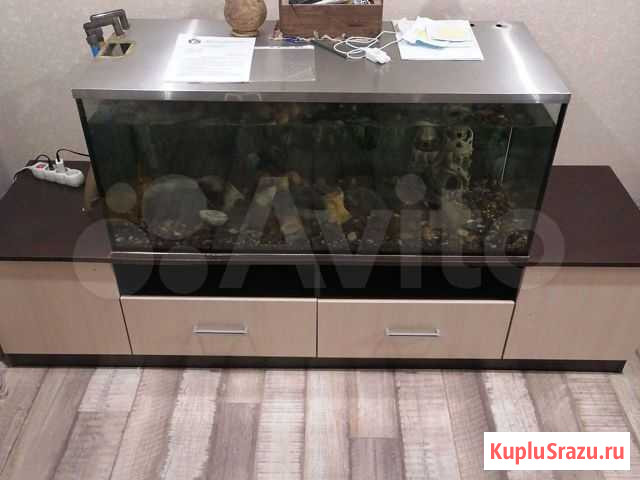Аквариум Нижний Новгород - изображение 1